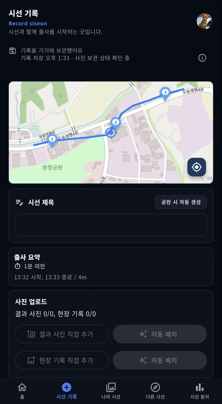 siseon 사진 자동 정리 화면